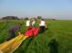 Ballon wordt opgeruimd door de piloot, de crew, en de passagiers in Lopik, Groene Hart te Zuid-Holland