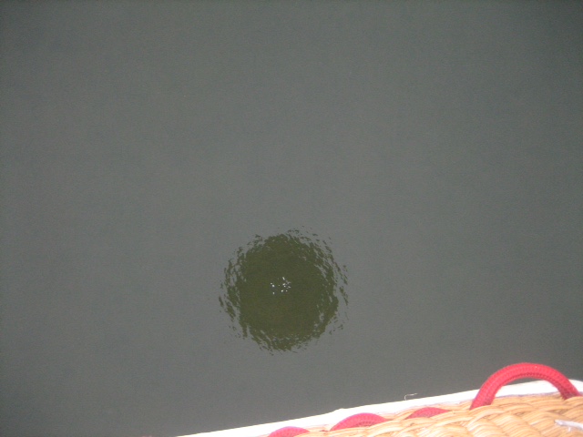 Reflectie luchtballon in het water beneden